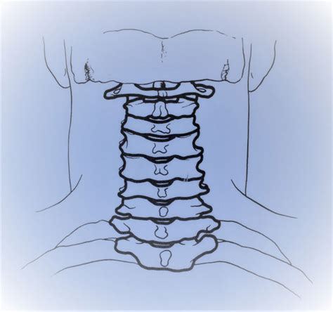 The backbone is, therefore, directly related to biological molecules' function. Broken Back Lawyer in Kansas City (Experienced Attorneys With Results)