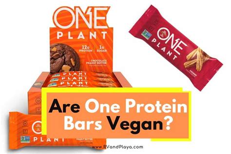 Are One Protein Bars Vegan Best Tips