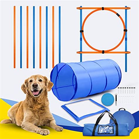 40 Best Agility Toys For Dogs 2022 After 166 Hours Of Research And