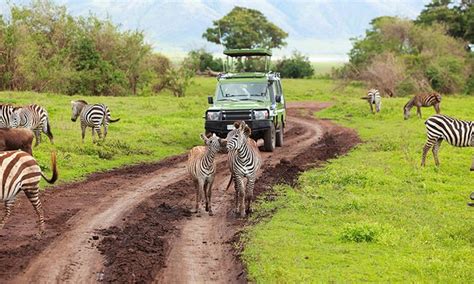 Arusha National Park Tanzania Safari Destinations