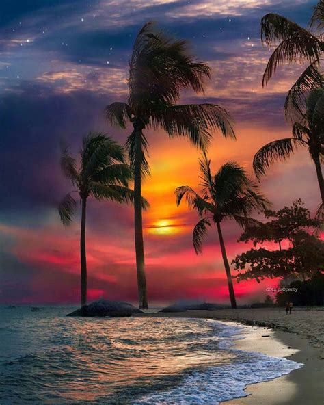 Tropical Sunset Sunset Beautiful Nature Beautiful Landscapes