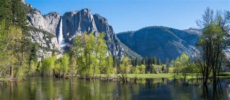 8 Datos Increíbles De Yosemite National Park Dreaming California