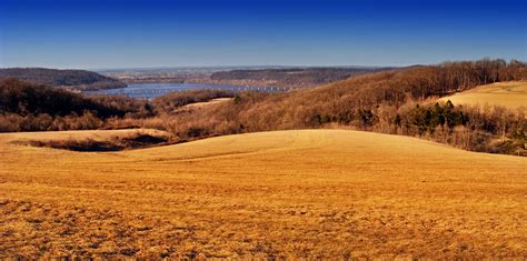 Photography Of Brown Sand Near Dried Trees During Daytime Hd Wallpaper