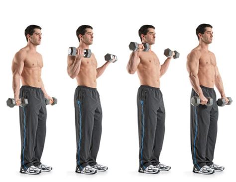 The 22 Best Exercises For Your Biceps Dumbbell Workout Best Dumbbell