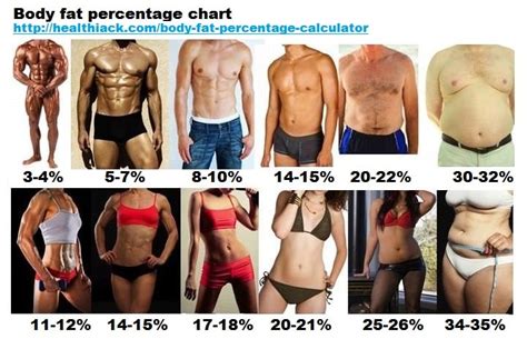 How To Estimate Your Percent Body Fat Eric Bach Blog