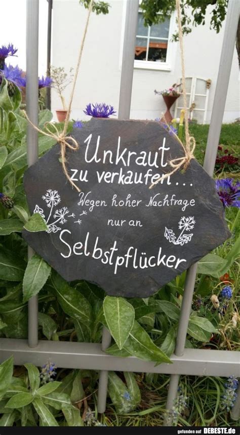 Die top 10 der frechsten sprüche. Umkraut zu verkaufen.. | Lustige Bilder, Sprüche, Witze ...