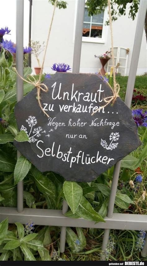 Pass auf dich auf und denk an mich, denn du musst wissen, ich liebe dich! Umkraut zu verkaufen.. | Lustige Bilder, Sprüche, Witze, echt lustig