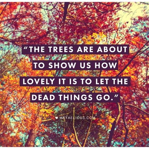 Let Go Autumn Quotes Nature Quotes Inspirational Quotes