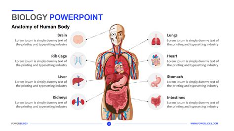 Biology Powerpoint Template 7000 Templates Powerslides™