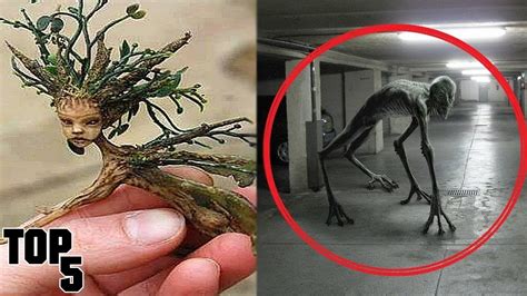Top 5 Scary Creatures Caught On Camera Part 2 Youtube