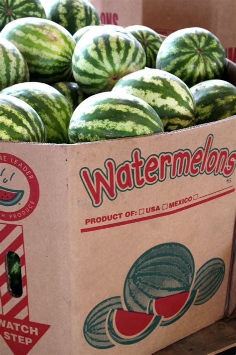 Weekly Photo Challenge Containers Watermelon Farmers Market
