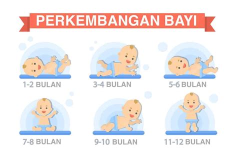 Perkembangan Bayi Mengikut Bulan Blake Hughes