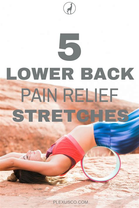 5 Lower Back Pain Stretches You Can Do At Home Chirp