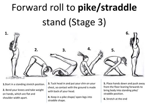 Gymnastic Resource Cards Forwardbackward Rolls And Headstandhandstand