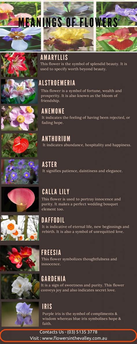 Meanings Of Flowers Infographic Flower Meanings Flowers Meant To Be
