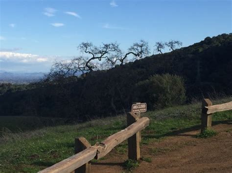 Rancho San Antonio Open Space Preserve Los Altos Hills 2020 All You