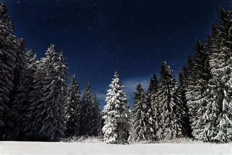 Free Images Forest Mountain Snow Winter Sky Star Weather Fir