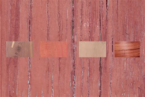 All Types Of Wood Arts In The World Wood Dad