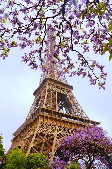 Flowers Over Eiffel Tower Paesaggi Torre Eiffel Parigi Francia