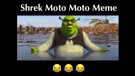 Shrek Moto Moto Meme Youtube