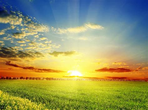 🔥 Free Download Sunrise Spring Nature 1400x1050 For Your Desktop