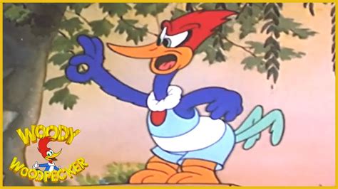 Woody Woodpecker Pantry Panic Full Episodes Youtube