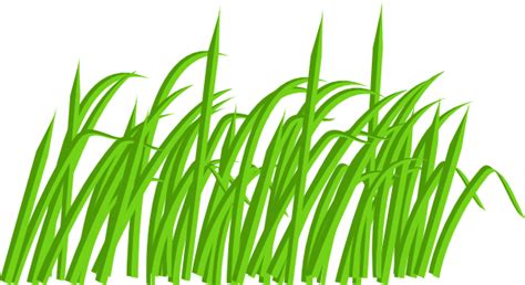 Gambar Rumput Png Free Download Clip Art Clipart Green Grass Blade di ...