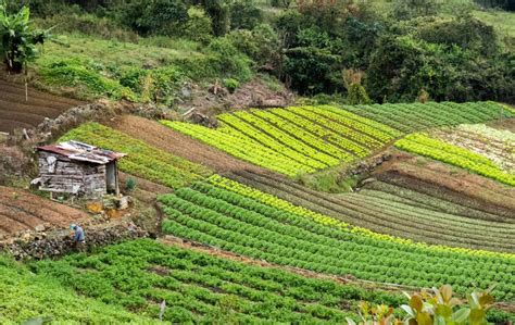 Guía Para Conocer Medellín A Través De Sus Corregimientos Esfera Viva