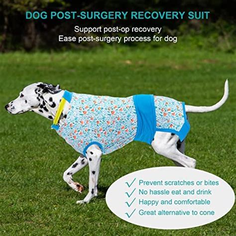 Lovinpet Dog Spay Recovery Suit Female Surgical Suit For Male Dogs