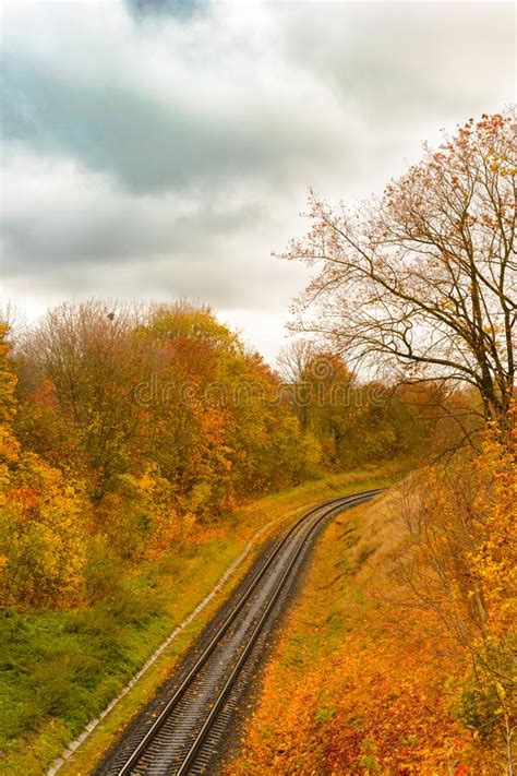 The Railway In Autumn Forest Stock Photo Image Of Nature Bright