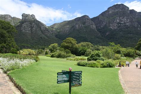 The Breathtaking Kirstenbosch National Botanical Garden Capetown
