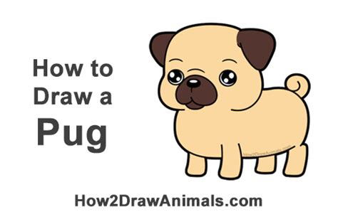 How To Draw A Pug Cartoon Video And Step By Step Pictures