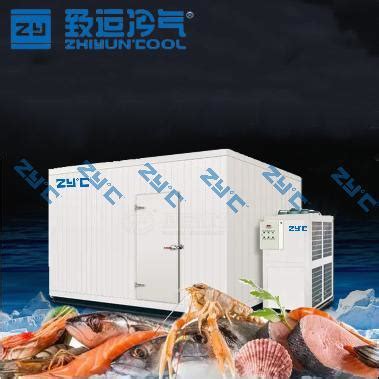 Frozen Meat Seafood Walk In Container Cool Freezing Freezer Cold Room