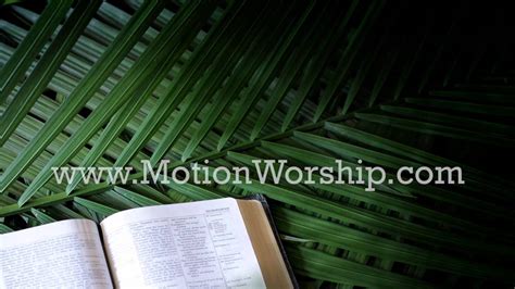 Bible Palm Sunday Branches Motion Loop Youtube