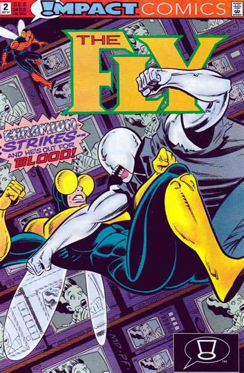 The Fly 2 1991 1992 Impact Comics Imprint Of Dc Comics Rare Comic