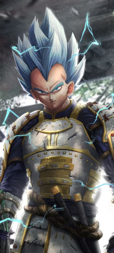 Search free dragon ball wallpapers on zedge and personalize your phone to suit you. 1080x2400 Vegeta Dragon Ball Anime 1080x2400 Resolution ...