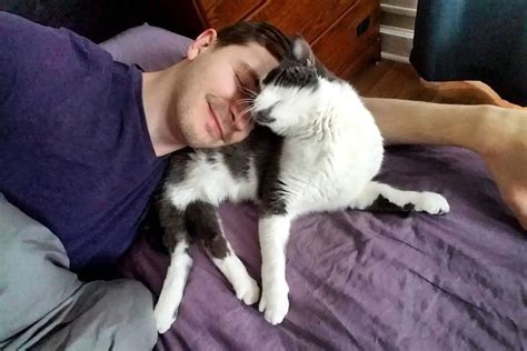 Chicago cat rescue is dedicated to helping animals in need. Cats of Instagram: Scooter the paralyzed rescue cat