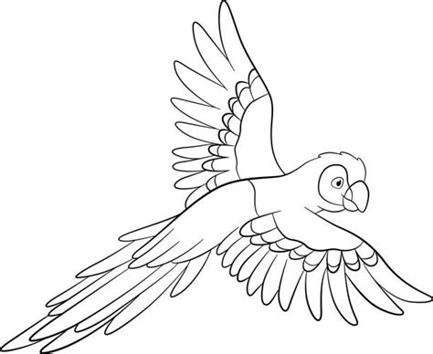 Parrot Drawing Outline
