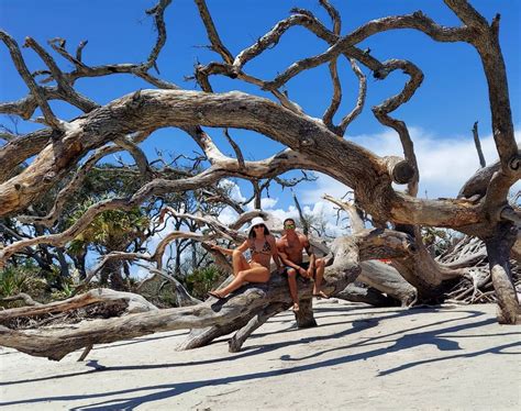 Your Guide To Visiting Driftwood Beach On Jekyll Island Lighthouse
