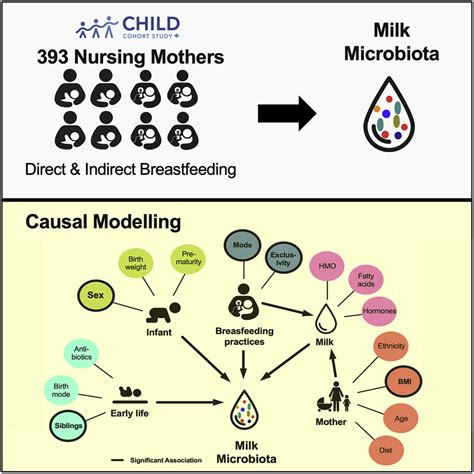 Composition And Variation Of The Human Milk Microbiota Are Influenced
