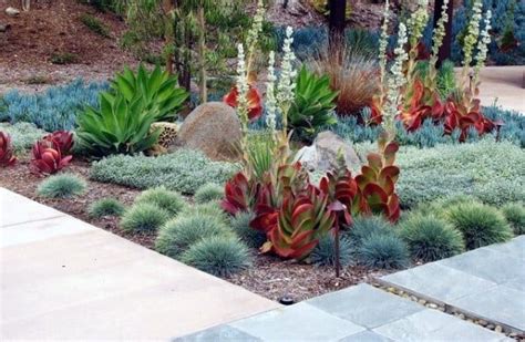 Top 70 Best Desert Landscaping Ideas Drought Tolerant Plants