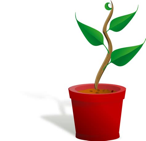 Plant Growing Openclipart