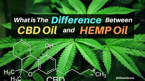 What Is The Difference Between Cbd Oil And Hemp Oil Youtube