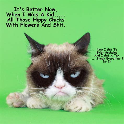 Grumpy Cat Memes By Gary 2017