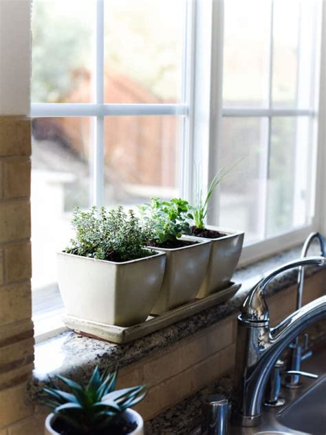 The narrow base of this indoor herb garden kit fits snuggly in windowsills or on kitchen counters just below windows. How to Start an Indoor Herb Garden | Kitchen Confidante®