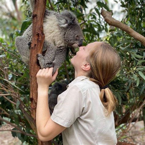 Koalabay On Instagram “thank You Heroes 🐨🙏🏻 Australianreptilepark