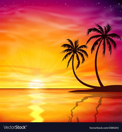 Sunset Sunrise With Palm Trees Royalty Free Vector Image
