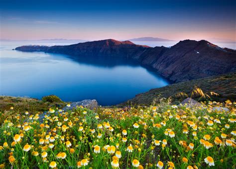 Wallpaper Sunlight Landscape Mountains Sea Flowers Hill Lake