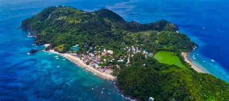 Video Spectacular Apo Island Aerial View