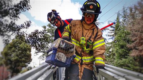 10 Grandes Hitos De Los Bomberos En La Historia De Bogotá